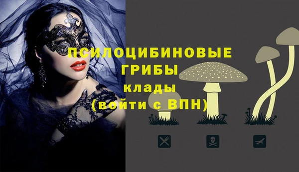 Альфа ПВП Баксан