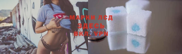 индика Армянск
