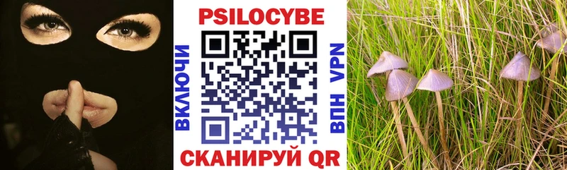 kraken зеркало  Сегежа  Галлюциногенные грибы мухоморы 